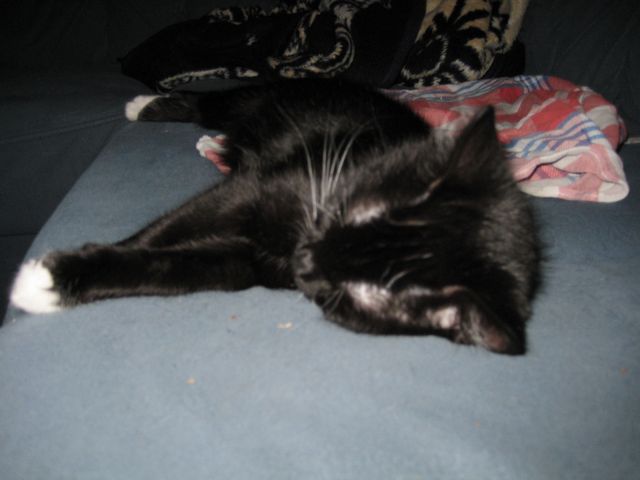 Bild 7